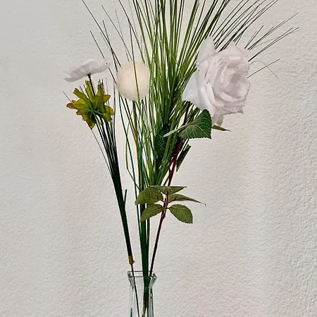 Le Nid Douillet - 4 Personnes - Terrasse Couverte * Lourdes