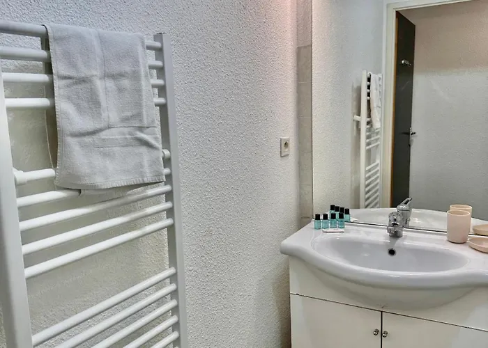 Le Nid Douillet - 4 Personnes - Terrasse Couverte Appartamento Lourdes