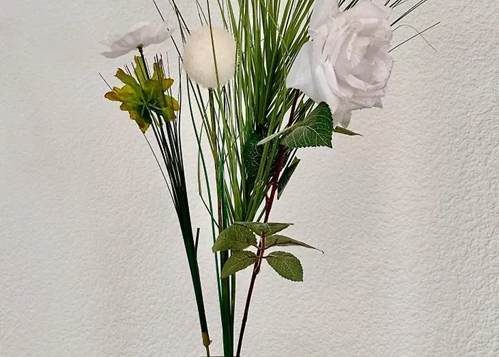 Le Nid Douillet - 4 Personnes - Terrasse Couverte * Lourdes